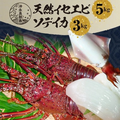 沖永良部島 天然イセエビ 5kg・ソデイカ 3kg