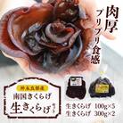 南国きくらげ 生セット