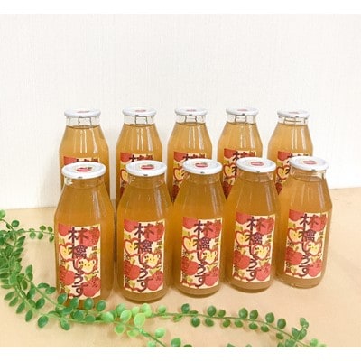 群馬県沼田市産　林檎じゅうす180ml(リンゴジュース)10本セット