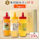 奥利根坂井の蜂蜜セット250g×3