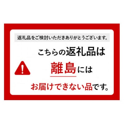 奥利根坂井の蜜蝋キャンドル ツリー
