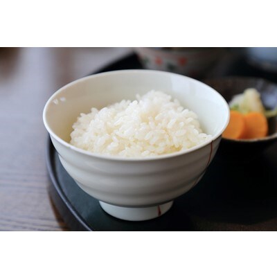 【10kg】天狗印厳選米「コシヒカリ100」令和6年産