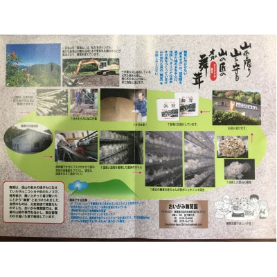 まいたけ三昧