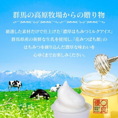 濃厚はちみつミルクアイス6個入り