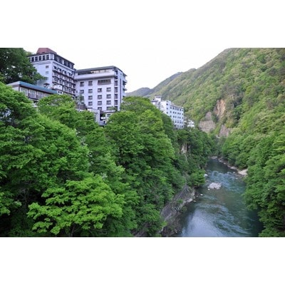 老神温泉で使える旅館「宿泊利用補助券」B