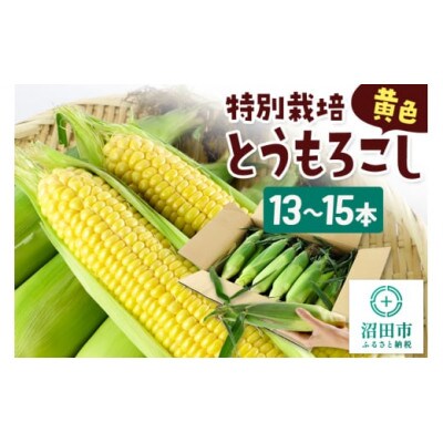 《7月下旬～9月中旬発送》沼田市産 特別栽培のとうもろこし 13～15本 黄色(ゴールドラッシュ)