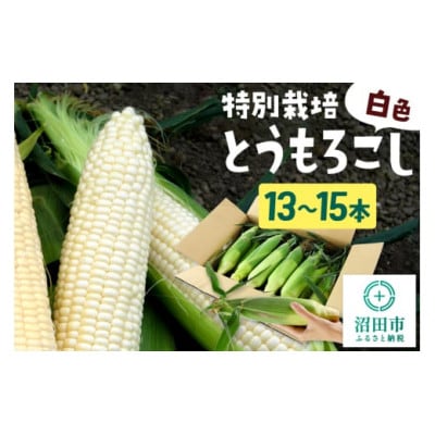 《7月下旬～9月中旬発送》沼田市産 特別栽培のとうもろこし 13～15本 白色