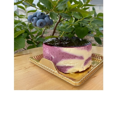 プレミアムチーズケーキ