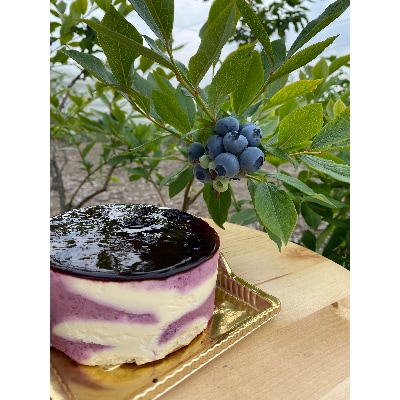 プレミアムチーズケーキ