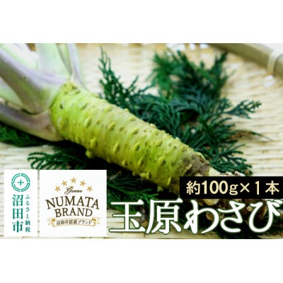 ぬまたブランド農産物 玉原わさび 生ワサビ 1本 宮田農園