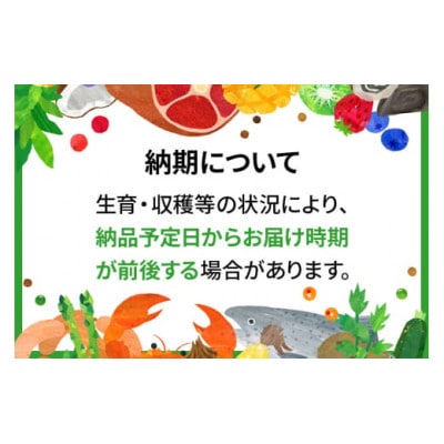 ぬまたブランド農産物 玉原わさび 生ワサビ 1本 宮田農園