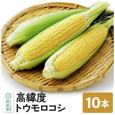 《関東発送限定/8月上旬以降発送》高糖度トウモロコシ10本セット