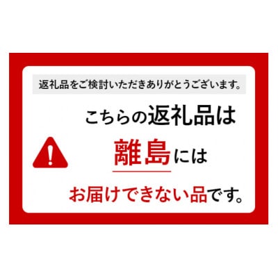 りんごチャイ(3g×10包) 1袋 タグひも付きティーバッグタイプ