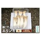 歯ごたえが自慢のエリンギ 大 約800g
