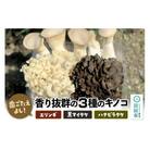 歯ごたえよし!香り抜群の3種のきのこ(エリンギ、黒舞茸、ハナビラタケ)の詰め合わせ 計約800g