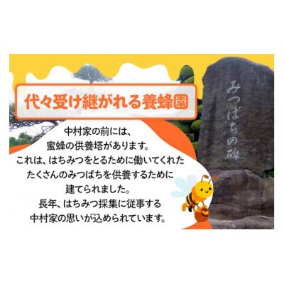 尾瀬のとち蜜&沼田市産アカシア蜜 詰め合わせ500g×各1本 計1kg 中村養蜂園
