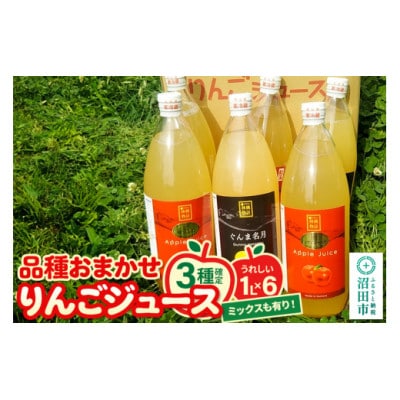 《3種確定》果樹園マンサーナ りんごジュース おまかせ1L×6本セット