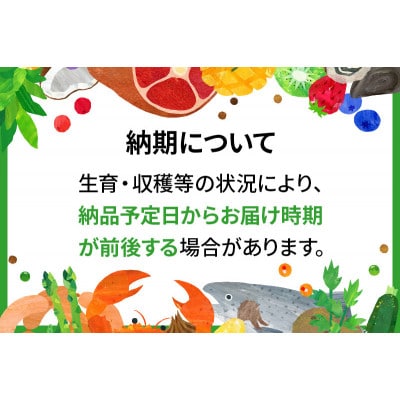CAS印 利根沼田産 皮付き とうもろこし 10本 株式会社沼田魚菜市場仲卸