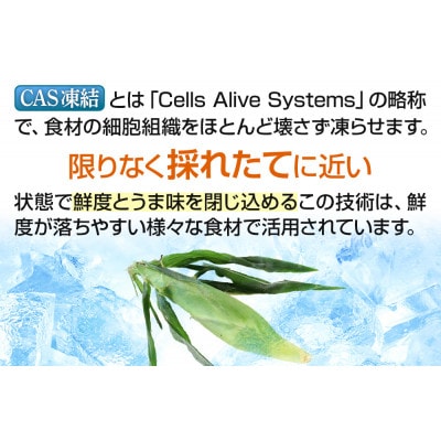 CAS印 利根沼田産 皮付き とうもろこし 10本 株式会社沼田魚菜市場仲卸