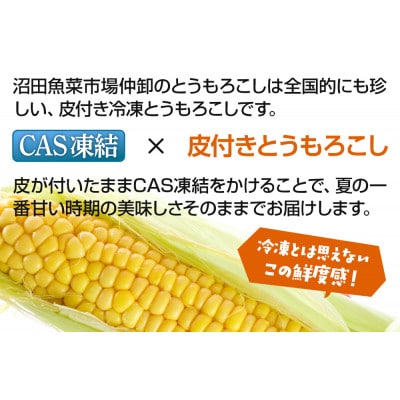 CAS印 利根沼田産 皮付き とうもろこし 10本 株式会社沼田魚菜市場仲卸
