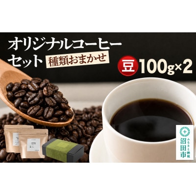 オリジナルコーヒーセット100g×2個 【豆】