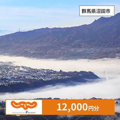 【じゃらんふるさと納税クーポン】 群馬県沼田市でつかえる12,000円 クーポン