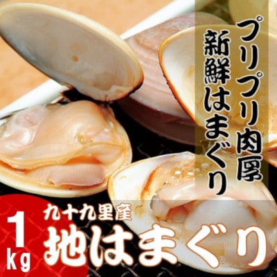 九十九里浜　天然はまぐり　1kg【厳選】〈10月上旬より順次発送予定〉