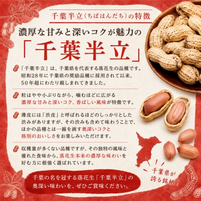 大網白里市産　落花生　千葉半立・Qナッツ8袋セット