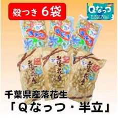 千葉県産落花生「千葉半立・Qナッツ」殻つき6袋セット(総容量675g【120g&times;3・105g&times;3】)