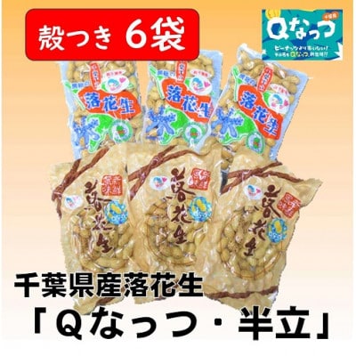 千葉県産落花生「千葉半立・Qナッツ」殻つき6袋セット(総容量675g【120g×3・105g×3】)