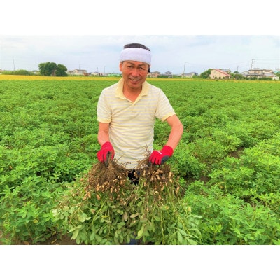 千葉県産落花生「千葉半立・Qナッツ」殻つき6袋セット(総容量675g【120g×3・105g×3】)