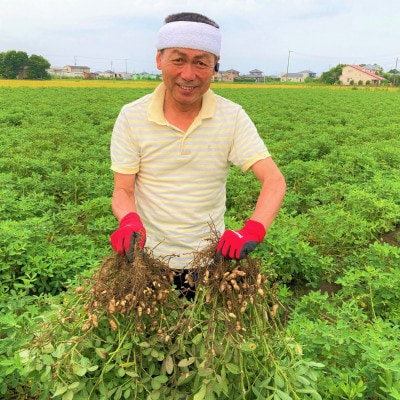 千葉県産落花生「謹製 極細バタピー」7袋セット(総容量700g【100g×7袋】)