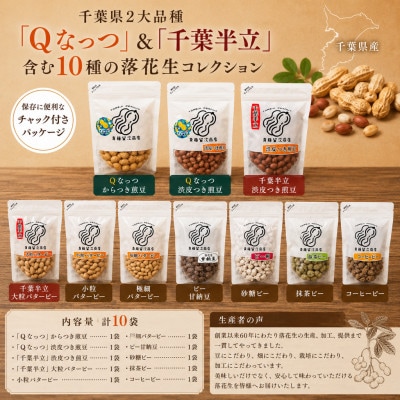 大網白里市産　落花生10袋セット(千葉半立・Qナッツ入り)計920g