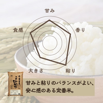 【令和7年産】2年連続特A評価! 千葉県 米 コシヒカリ 25kg  ( 5kg ×5袋)