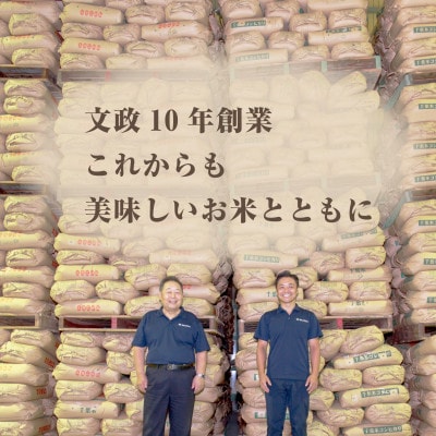 【令和7年産】2年連続特A評価!　千葉県産コシヒカリ25kg無洗米 (5kg×5袋)