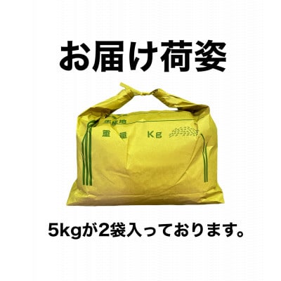 【令和5年産】千葉県産　ふさこがね10kg (精米5kg×2袋)