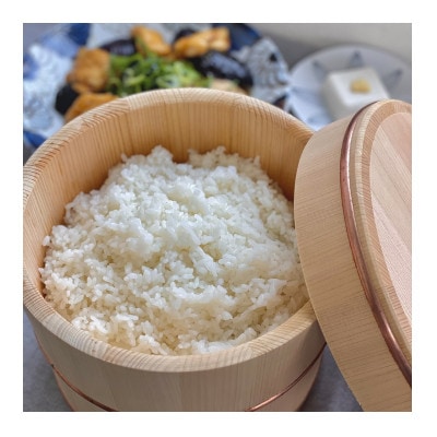 【令和7年産】2年連続特A評価!千葉県産コシヒカリ5kg精米(5kg×1袋)