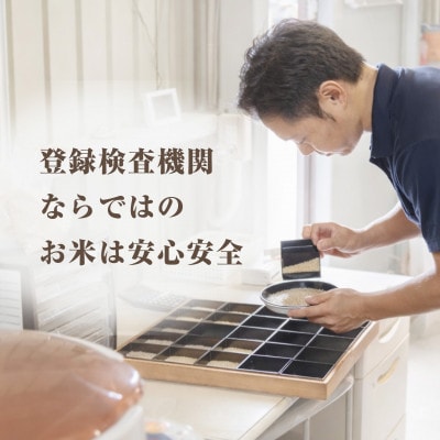 【令和7年産】千葉県産 ふさこがね 精米 15kg(5kg×3袋)