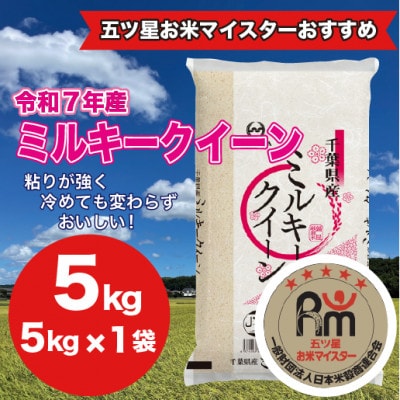 【令和7年産】千葉県産ミルキークイーン 精米 5kg (5kg×1袋)