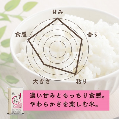 【令和7年産】千葉県産ミルキークイーン 精米 5kg (5kg×1袋)