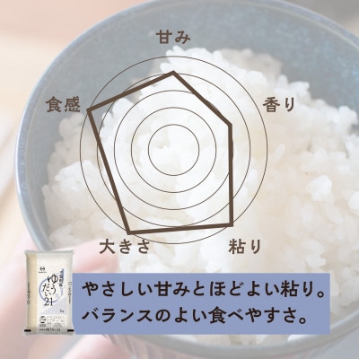【令和7年産】千葉県 米 ゆうだい21 精米 5kg  ( 5kg ×1袋)
