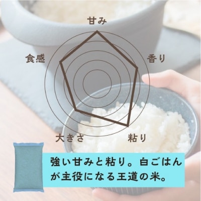 【令和7年産】2年連続特A評価!米　コシヒカリ　無洗米10kg(5kg×2)訳あり