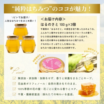 【数量限定】大網白里育ちの「純粋はちみつ」はるのさと(百花蜜)100g×3個