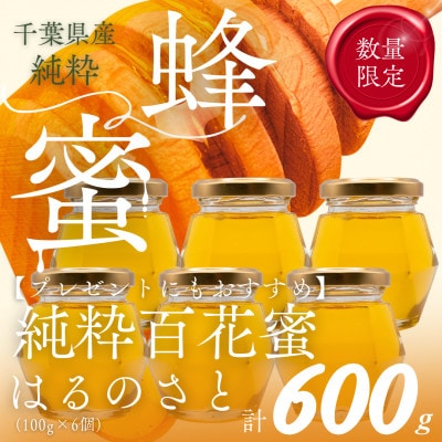 【数量限定】大網白里育ちの「純粋はちみつ」はるのさと(百花蜜)100g6個