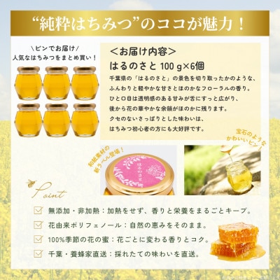 【数量限定】大網白里育ちの「純粋はちみつ」はるのさと(百花蜜)100g6個