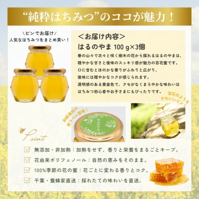 【数量限定】千葉県産「純粋はちみつ」はるのやま(百花蜜)100g×3個