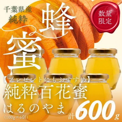 【数量限定】千葉県産「純粋はちみつ」はるのやま(百花蜜)100g×6個