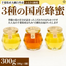 千葉県産はちみつ【大人気お試し3種セット 】100g&times;3個