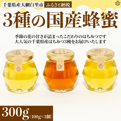 千葉県産はちみつ【大人気お試し3種セット 】100g×3個