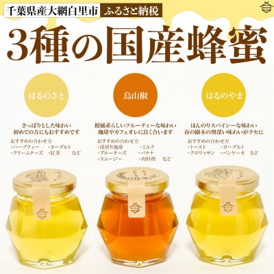 千葉県産はちみつ【大人気お試し3種セット 】100g×3個
